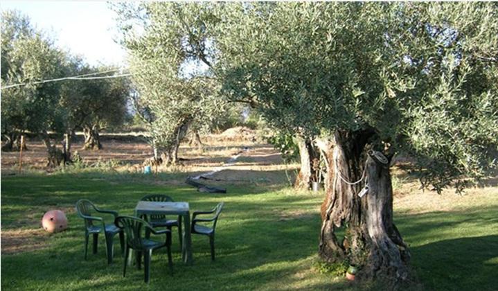 Hotel Rural Hojaranzos Tejeda de Tiétar Εστιατόριο φωτογραφία